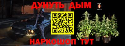 мдпв Новодвинск