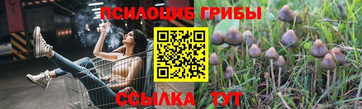 Псилоцибиновые грибы мухоморы  Вход с VPN  Заволжье 