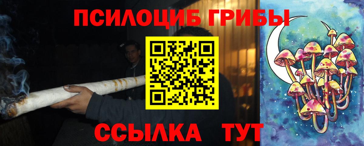 Псилоцибиновые грибы Psilocybine cubensis Заволжье